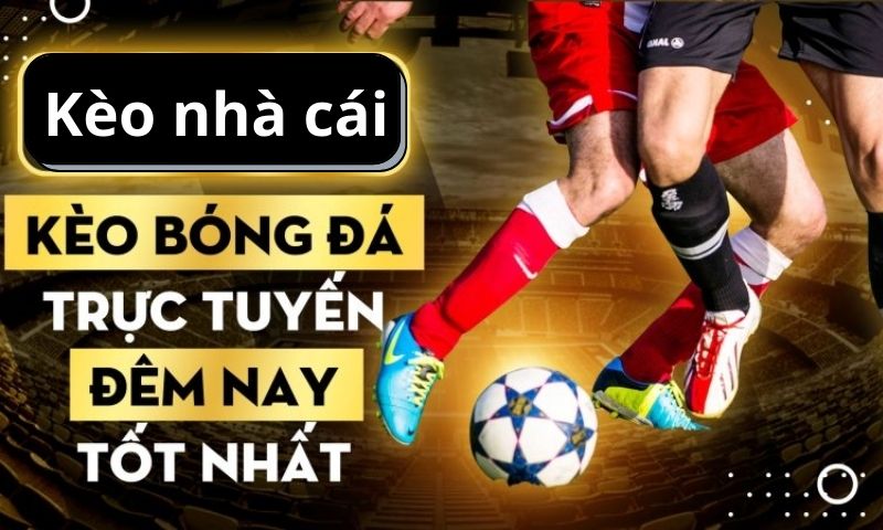 tỷ lệ kèo nhà cái