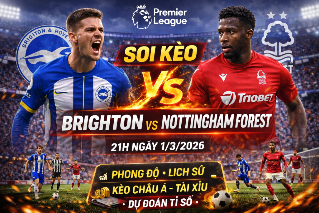Brighton vs Nottingham